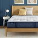 Serta iComfortPro Mattress Chelsea Medium Mattress - Twin XL image