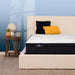 Serta Perfect Sleeper Innerspring Mattress Adoring Night Plush Euro Top - Twin XL image