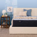 Serta Perfect Sleeper Innerspring Mattress Blue Lagoon Nights Medium Tight Top - Full image