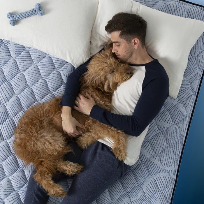 Serta Perfect Sleeper Innerspring Mattress Blue Lagoon Nights Plush Pillow Top - King