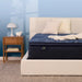 Serta Perfect Sleeper Innerspring Mattress Cobalt Calm Plush Pillow Top - King image