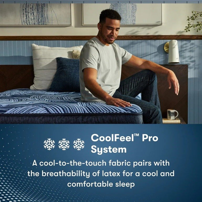 Serta Perfect Sleeper Pro Mattress Edinburgh Plush Pillow Top - Twin XL