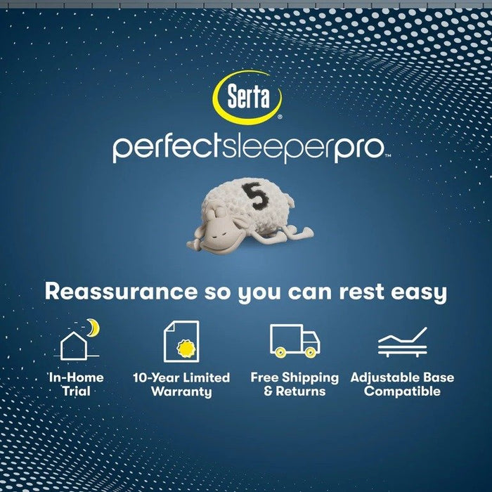 Serta Perfect Sleeper Pro Mattress Edinburgh Plush Pillow Top - Twin XL