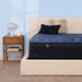 Serta Perfect Sleeper Hybrid Mattress Euphoric Nights Plush - Twin XL image